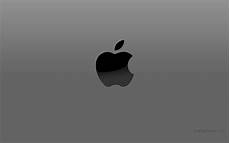 Apple Logo Wallpaper by Apple Logo Hd Wallpapers Wallpaper Cave Apple Logo Wallpaper