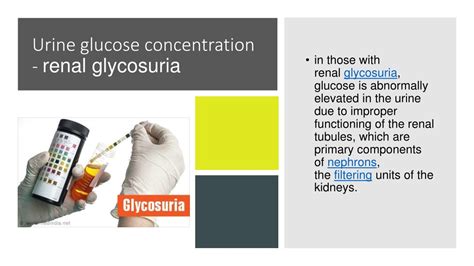 PPT - Summary PowerPoint Presentation, free download - ID:833345