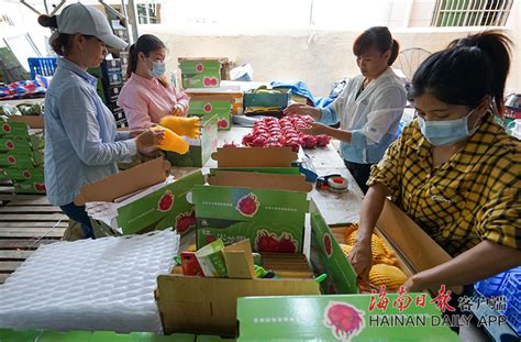 探访广西最大水果批发市场:果品货源足水果放心吃-桂林生活网新闻中心