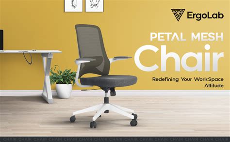 ErgoLab Dolphin Office Chair, Mid Back Ergonomic Mesh Home Office Desk ...