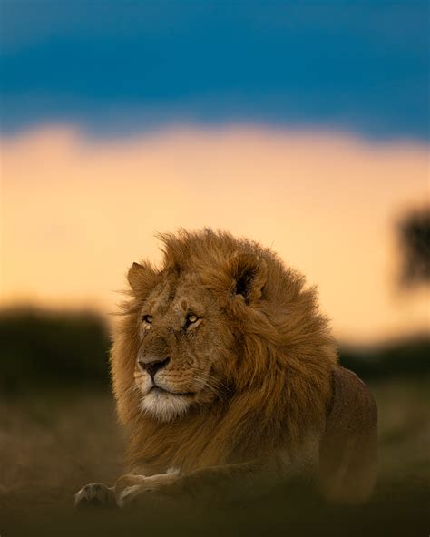 Sudhir Shivaram | Some of my fav double spread images. A lot of times ...