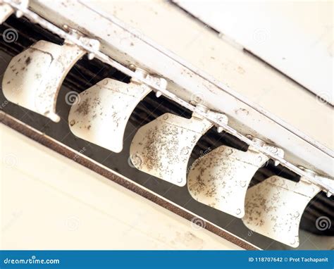 Close Up Mold in Air Conditioner System. Danger and the Cause of ...
