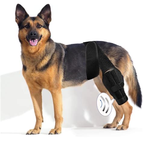 Dlevakve Large Dog Knee Brace for Torn Acl Hind Leg for Support with ...