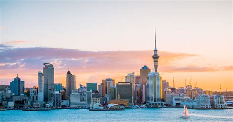 Auckland CBD Apartment Market Update 2026 | Ray White Auckland Central ...