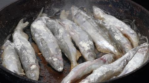 ver de Cocinando fritura capelán pescado en hierro cacerola. A la ...
