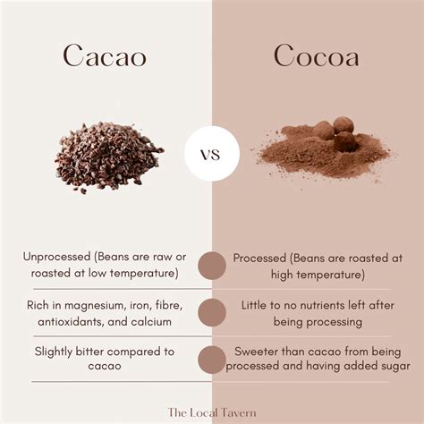 20 cacao powder superfood recipes you will love – Artofit