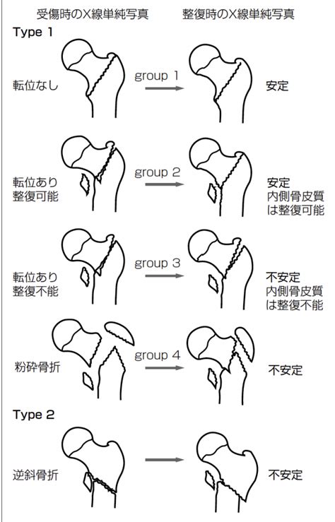 Image result for Privacy Program Org Chart