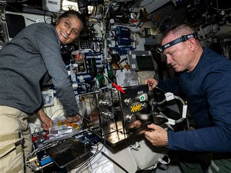 Sunita Williams terms space her "happy place"; NASA astronauts eager to ...