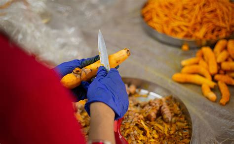 Amba Halad - The Humble Healer – Goosebumps Store