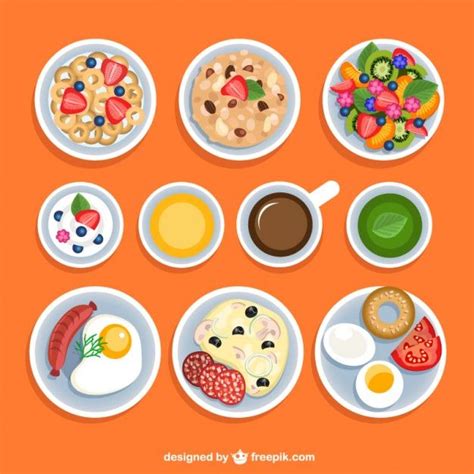 food illustration vector