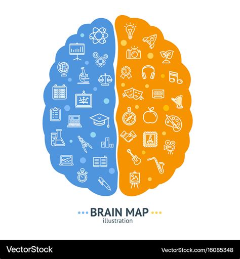 Left Right Hemisphere 的图像结果