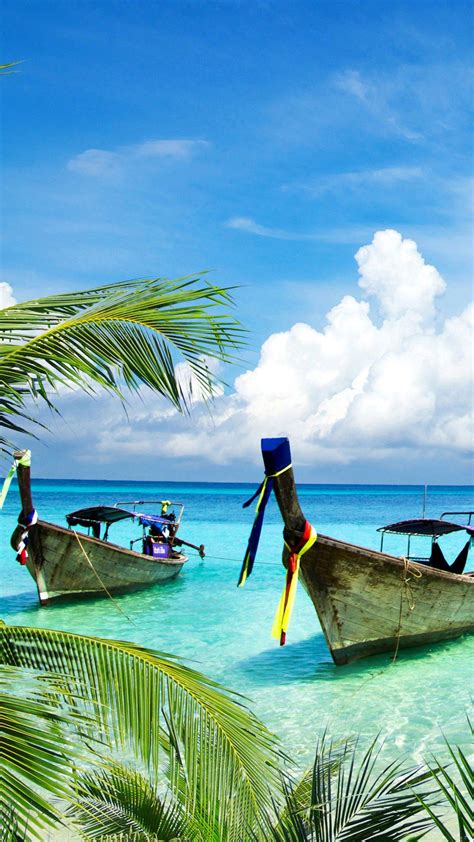 Nature Portrait 的图像结果