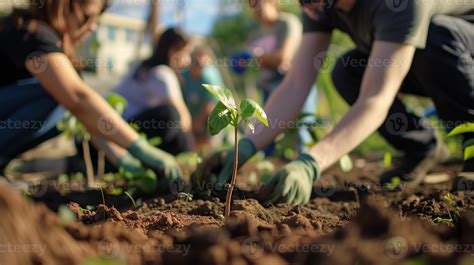 Tree-Planting Activity 的图像结果