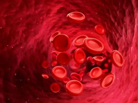 6 reasons why your fingers work slower during winter - Why winter makes ...