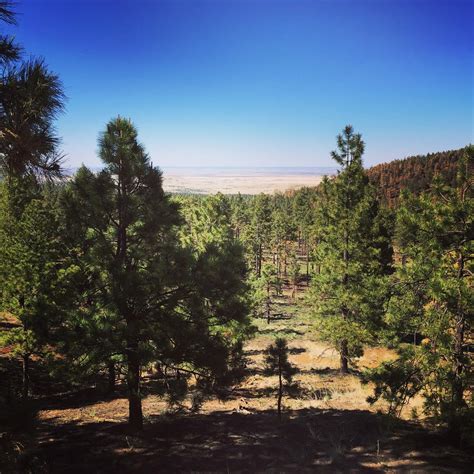 Explore the White Mountains of Arizona: My Guidebook with Map ...