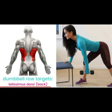 Image result for Multifidus Exercises