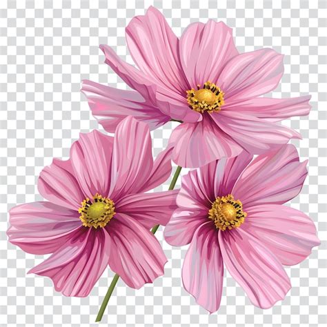 Premium PSD | Pink flowers on a transparent background