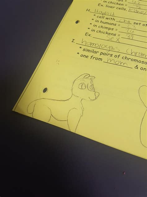 Classes in Python Doodle 的图像结果