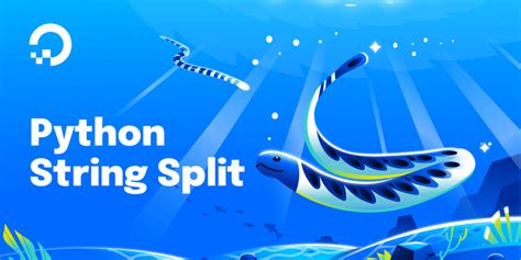 Image result for Split in Python String