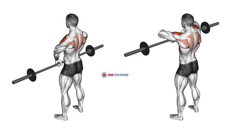 Barbell Upright Row (version 3) - Home Gym Review