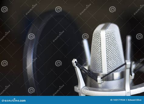 Recording Studio Microphone 的图像结果