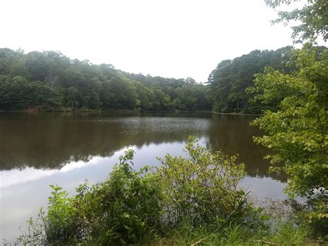 Lake Wheeler looks great today : r/raleigh