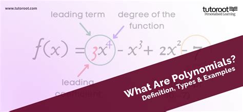 Image result for Polynomials Examples Math