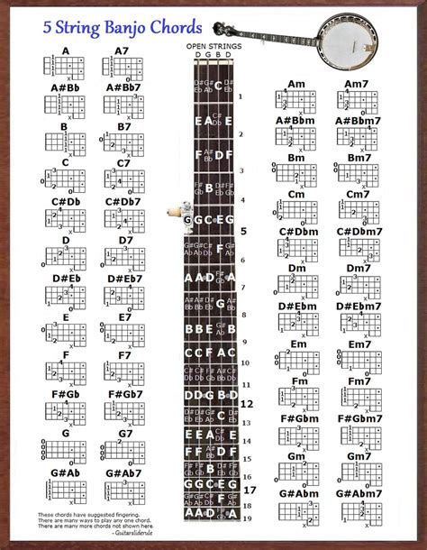 5 STRING BANJO CHART 8.5X11 48 Chords - Etsy
