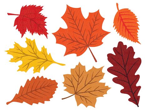 Fall Leaves Svg, Fall Svg, Fall Leaf Svg Bundle, Fall Png, Dxf, Clipart, Cut Files for Cricut ...