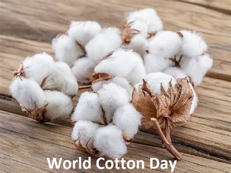 World Cotton Day 2021: Date, Theme, History, Significance, and Event