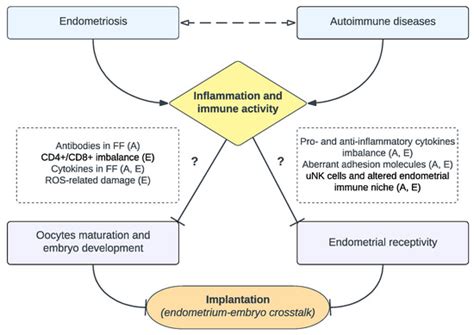 Concomitant Autoimmunity in Endometriosis Impairs Endometrium–Embryo ...