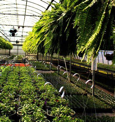 welcome [dgfarms.in]