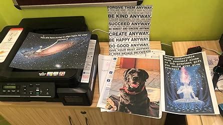 Amazon.in: Buy Brother DCP-T820DW Printer - Auto Duplex Printing, Print ...