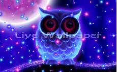 Neon Owl Wallpaper by Neon Owl Appstore For Android Neon Owl Wallpaper