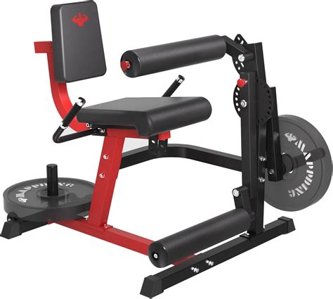 Amazon.com : Mappding Leg Extension and Curl Machine 700 LBS ...