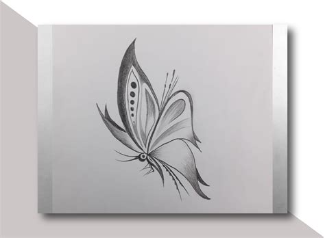 Butterfly Drawings In Pencil Simple at Joseph Cornwall blog
