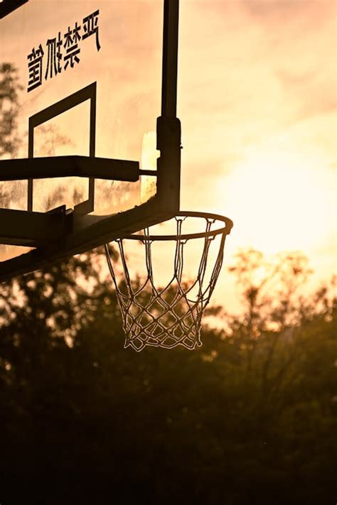 Play Basketball 图片 的图像结果