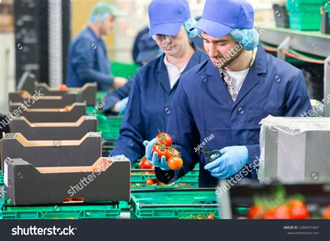 Assembly Line Food Production 的图像结果