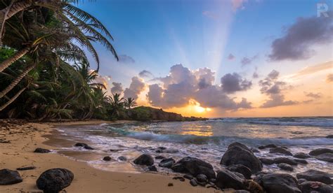 Corn Island Weather at William Gainey blog