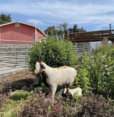 5 Ways to Have More Fun at Bowers Farm Winter Park in Metro Detroit