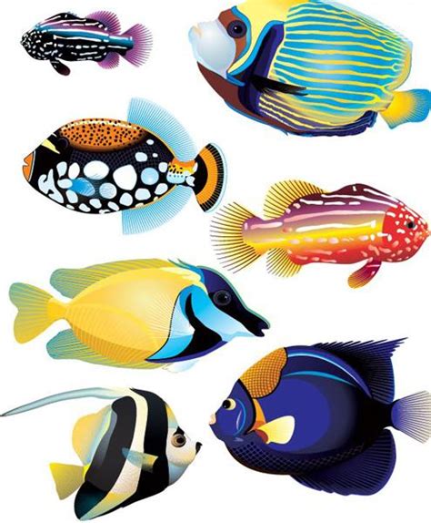 Tropical Fish Set Stock Illustration - Download Image Now ...