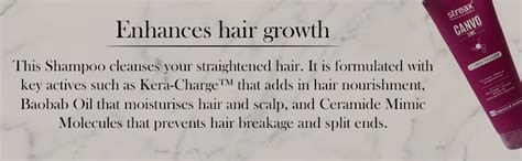 Buy STREAX® PROFESSIONAL canvoline Shampoo & Conditioner combo (300ml ...