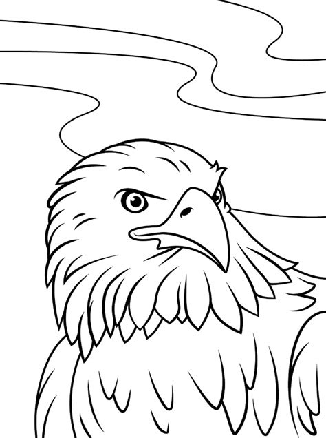 Eagle Face coloring page - Download, Print or Color Online for Free