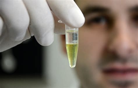 How to Process a DNA Sample 的图像结果