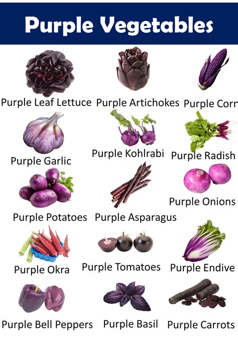 List of Purple Vegetables with Pictures - Vocabulary Point