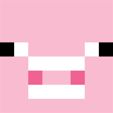 Pig Minecraft Face