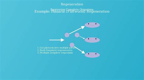 Cloning Reproduction 的图像结果