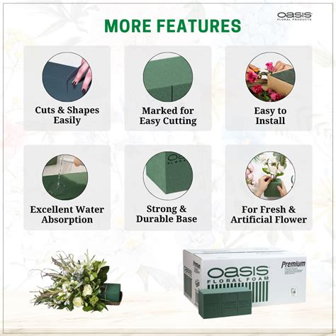 Floral Foam Bricks by OASIS (Pack of 2) – Furxotic