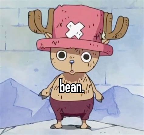 Pin by AnimeMemes on Pins by you | One piece funny, One piece meme, One ...