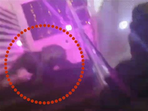 Leopard Attack In Lucknow Marriage Hall Live Video Photo Update